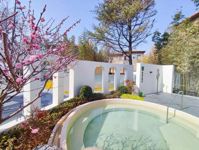 鸥遇青岛 温泉暖冬！青岛冬日暖经济火力全开！