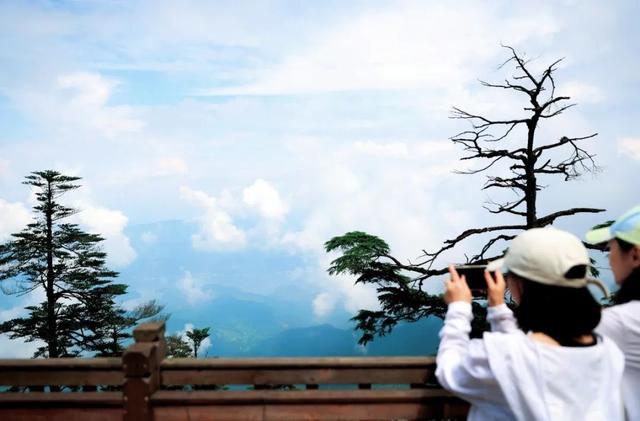 这个七夕，瓦屋山你是懂浪漫的！所有人免门票狂欢3天！