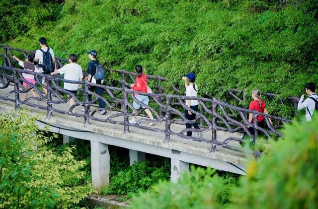 “续费成功”！9月1日至30日，瓦屋山所有人持续宠粉【免门票】！