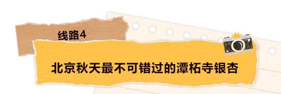 古建赏秋，才是北京的秋日限定