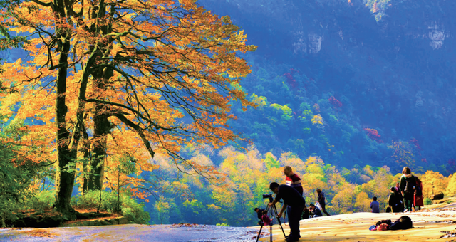漫山枫叶红似火！初冬的小草坝，一个来了就舍不得离开的地方