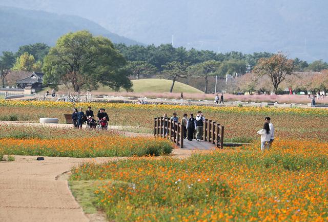 韩国古城庆州秋色