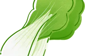 当季蔬菜集中上市！价格下跌30%-50%图片