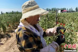 宁夏：科技赋能 让农业播种新希望图片