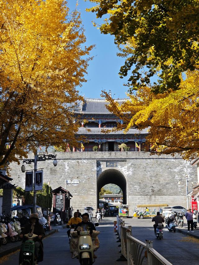 大理古城玉洱路，“满城尽带黄金甲”