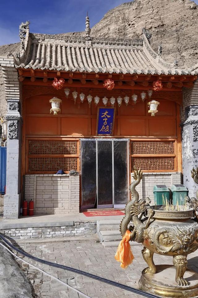 中国最伟大的荒野，从盗猎战场到生命乐园