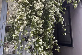 武汉市粮道街道以好环境激发区域新活力图片