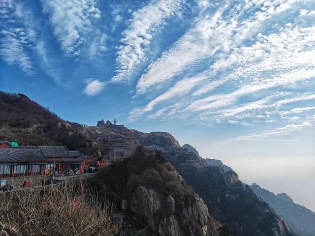 泰山的秋信：半穹澄蓝，半岭楸红