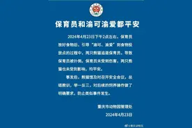 重庆动物园通报保育员被熊猫扑倒：保育员和两只熊猫均平安图片
