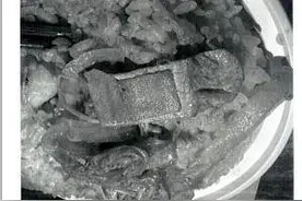 点个品牌店的外卖，竟吃出了使用过的创口贴，法院：赔偿1000元图片