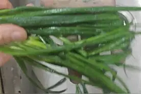 满手都是“蓝色残留物”！一网友买到“掉色葱”，江西省农科院回应图片