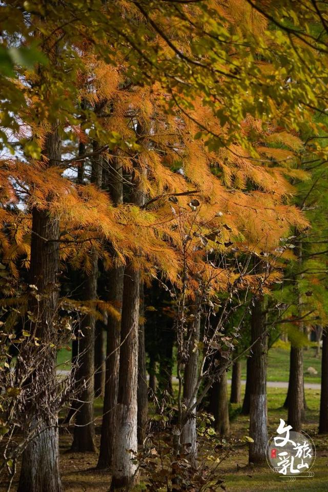 藏在乳山各处的温柔｜这些公园，让心情慢下来