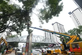 清理枯枝保安全图片