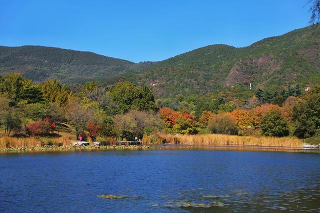 国家植物园进入彩叶最佳观赏期