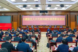 大鹏新区召开人大代表和政协委员联组会议，票选出2025年十件重点民生实事图片