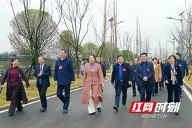 “委员提案”助推“产业大发展”——蓝山创新落实委员提案工作纪实图片