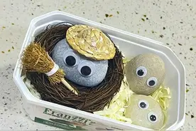 你敢信？有人养石头当宠物！暴增246%！有店主月入过万……图片