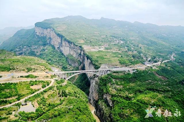 叙永“天府树王”迎最佳观赏期 游玩攻略请查收