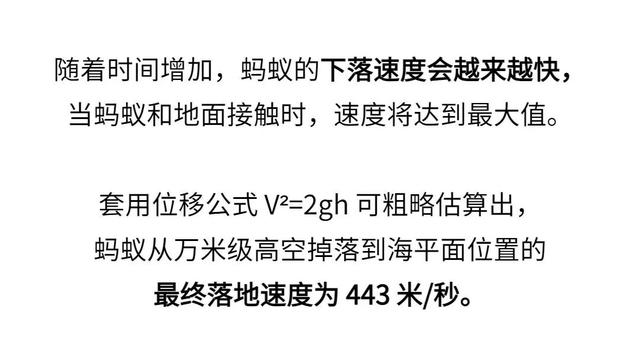 假如蚂蚁从飞机上掉下，不会摔死吗？