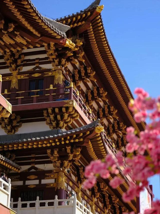 初冬高饱和度美景，还得看洛阳！