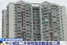 跨行“带押过户”业务落地、二手房市场活跃 楼市“组合拳”积极效应持续释放图片
