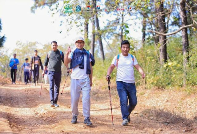一场跨越汤山的 “自然奔赴”→