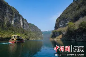 沿河：乌江春景引客来图片