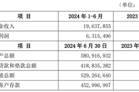 微众银行最新财报披露：营收出现下滑，民营银行“一哥”遭遇瓶颈｜大鱼财经图片