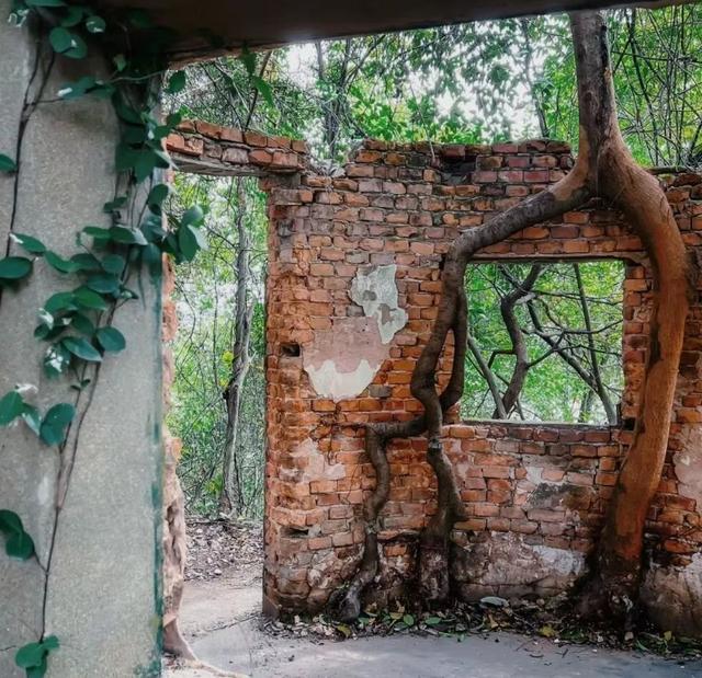 南昌新晋打卡地！鱼目山公园冬日限定浪漫等你来解锁