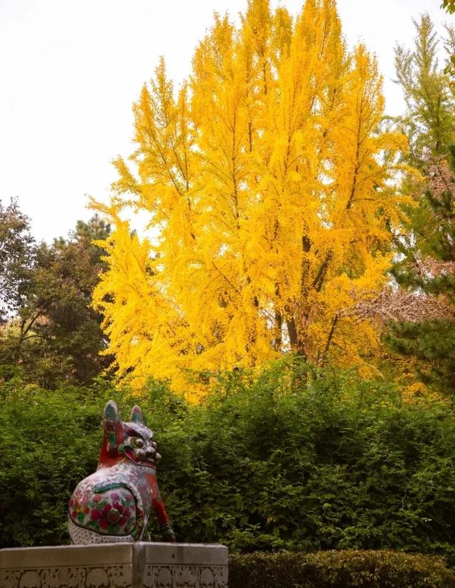 走进西安4大免费开放的宝藏公园