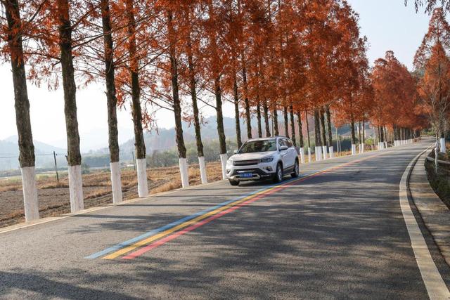 福建武夷山：匠心守护赏景之路