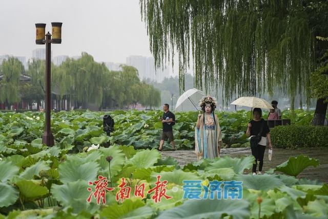 一年四季 泉在济南丨烟雨济南，胜似江南