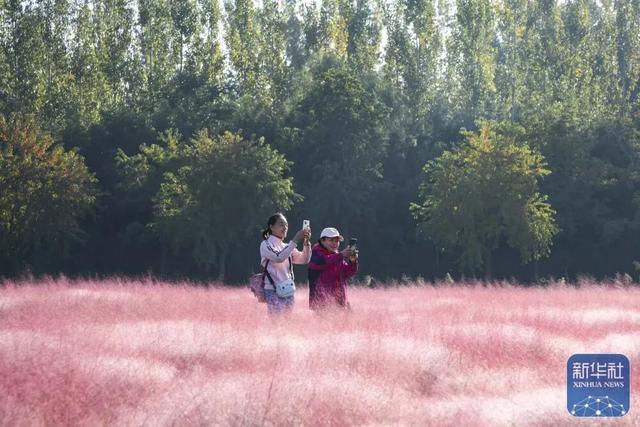 秋声渐杳 斑斓成诗