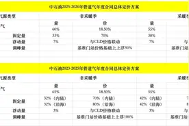 中石油，最新定价方案出炉图片