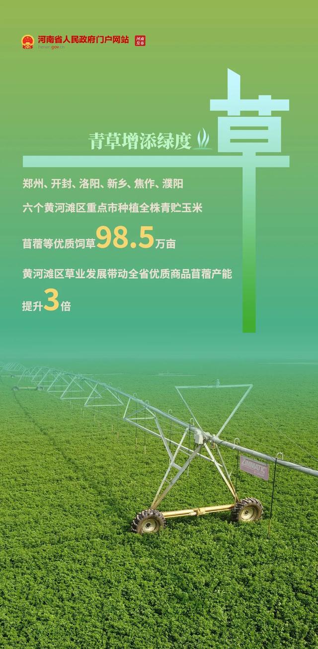 追青逐绿看河南→