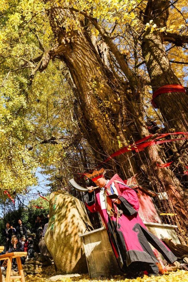 桃源深处、武陵主峰，梵净山何以跻身世界遗产？