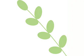 【三八节福利】音乐会员年卡福利已上线，点我快速完成抽奖预约！图片