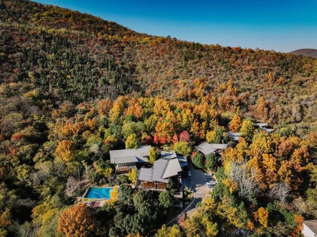 一只鸭的温暖远行 | 从金陵出发，把江苏千年带到你面前