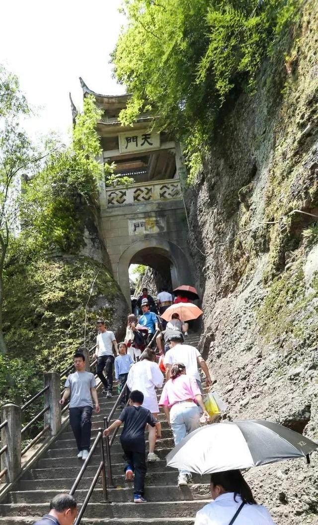 五大旅游主题线路出炉！看完“浙BA”，这样玩转金华→