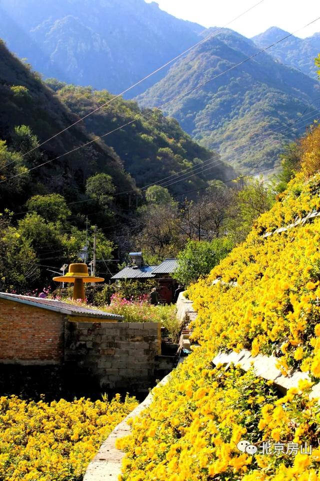 多彩京秋各区巡游 |房山区美翻了！秋日限定~