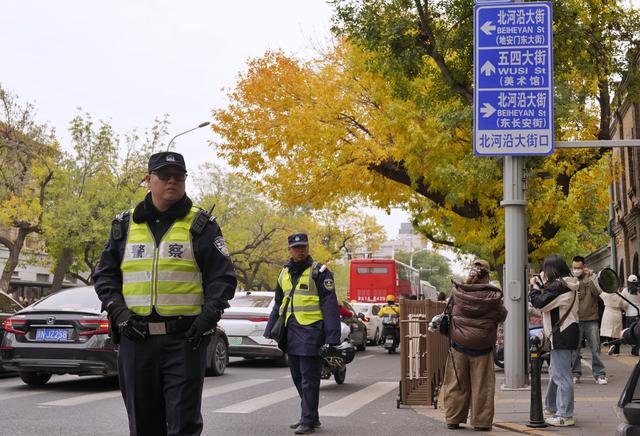 五四大街“黄金神树”引来大客流  霜降时节绝美秋景出圈