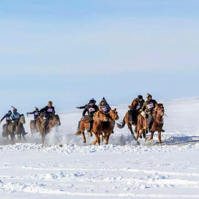 今年冬天，把方向盘“交给”呼伦贝尔