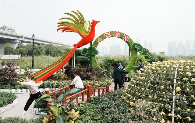 “巴公房子”立江畔，十大名菊传古韵！走过近70年的武汉菊展邀您来赏颜值品内涵