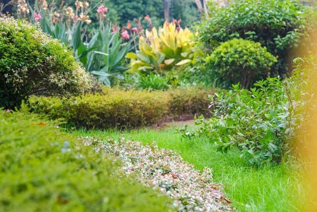 在蜀山，转角遇见美！这些地方已更新→