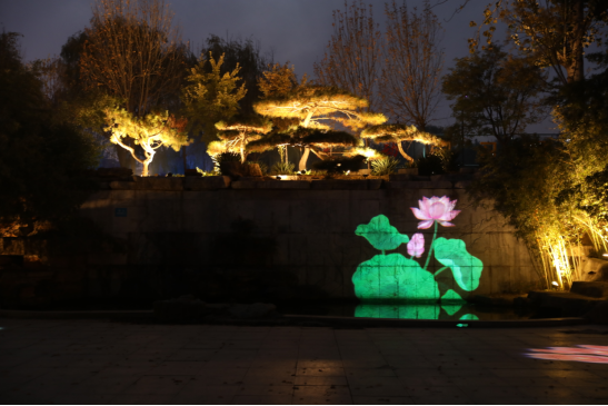 焕新归来！沂水东皋公园：四季有景夜有光 古塔生辉美出圈