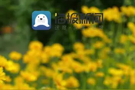 日照：阳光海岸绿道景色宜人，市民游客纷纷点赞图片