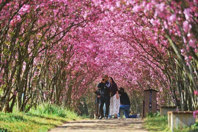3月7日至8日，女性游客免门票游乃古石林风景区