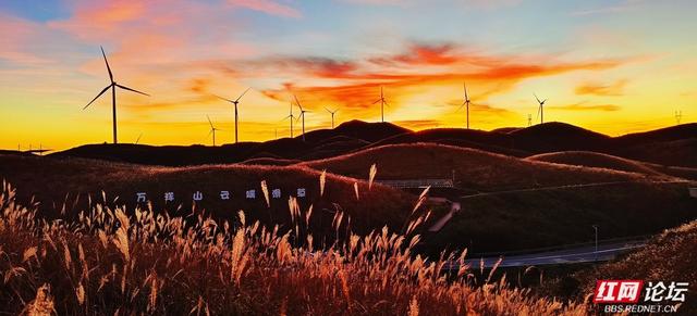 【每日一图@湖南】月夜风车与霞光云海同框？初冬的桂东万洋山做到了