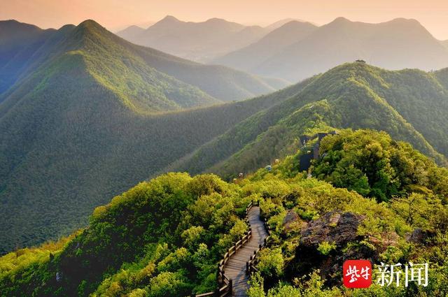 【图集】大美江苏！穿越森林秘境，漫步郊野公园，沉浸式感受"绿色动脉"