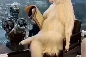 青未了｜你将像书中的风一样自由图片